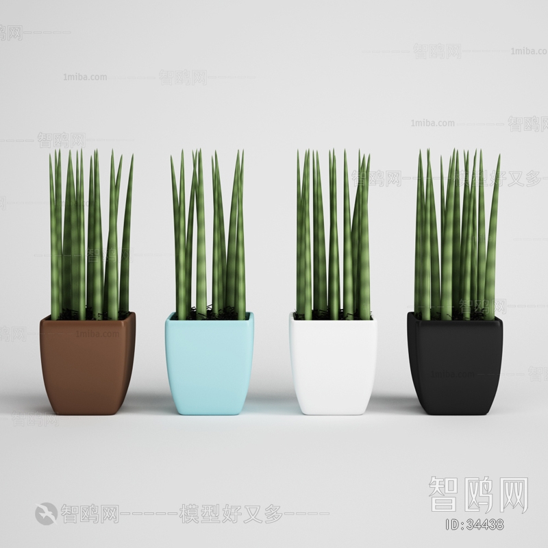 Modern Potted Green Plant