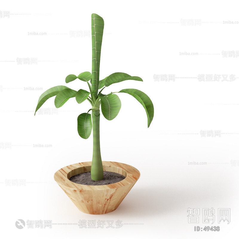 Modern Potted Green Plant