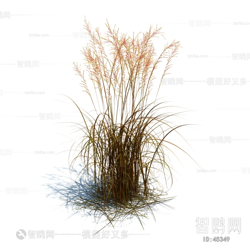 Modern Tree/shrub/grass