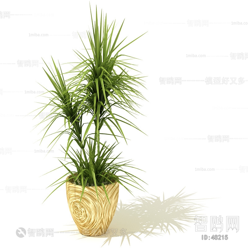 Modern Potted Green Plant