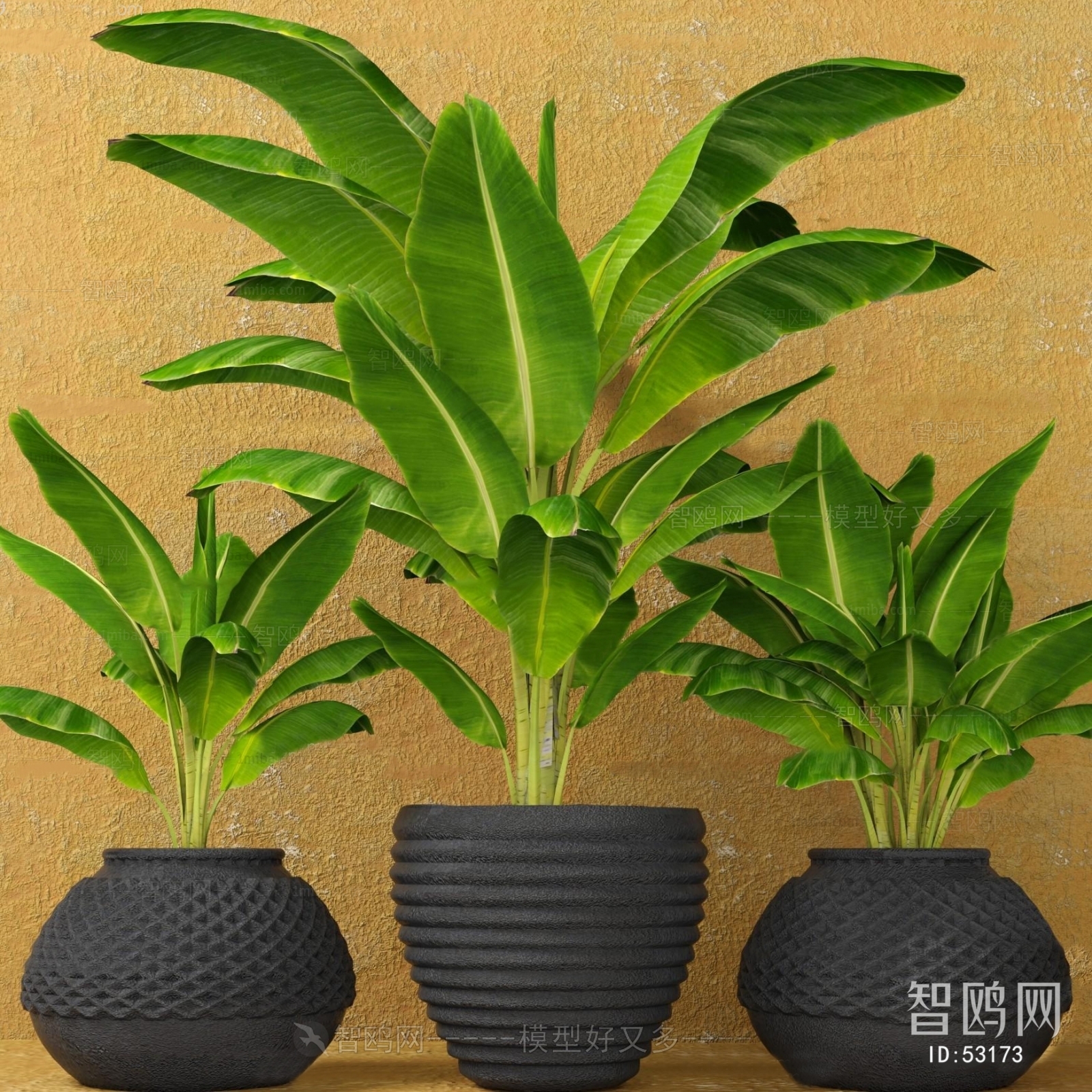 Modern Potted Green Plant