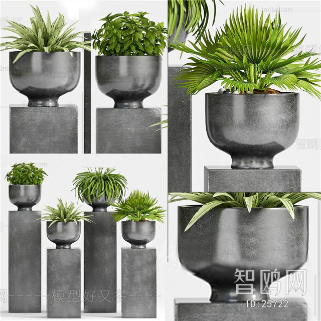 Modern Potted Green Plant