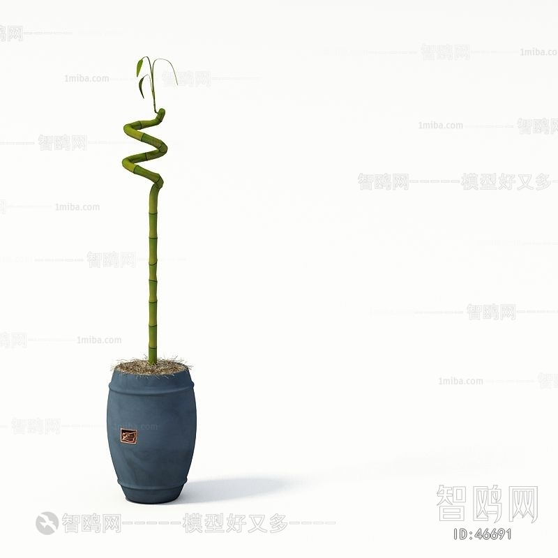 Modern Potted Green Plant