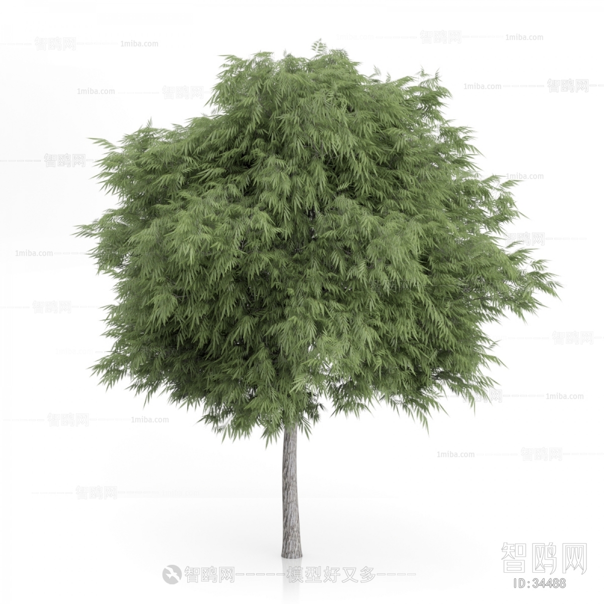 Modern Tree/shrub/grass