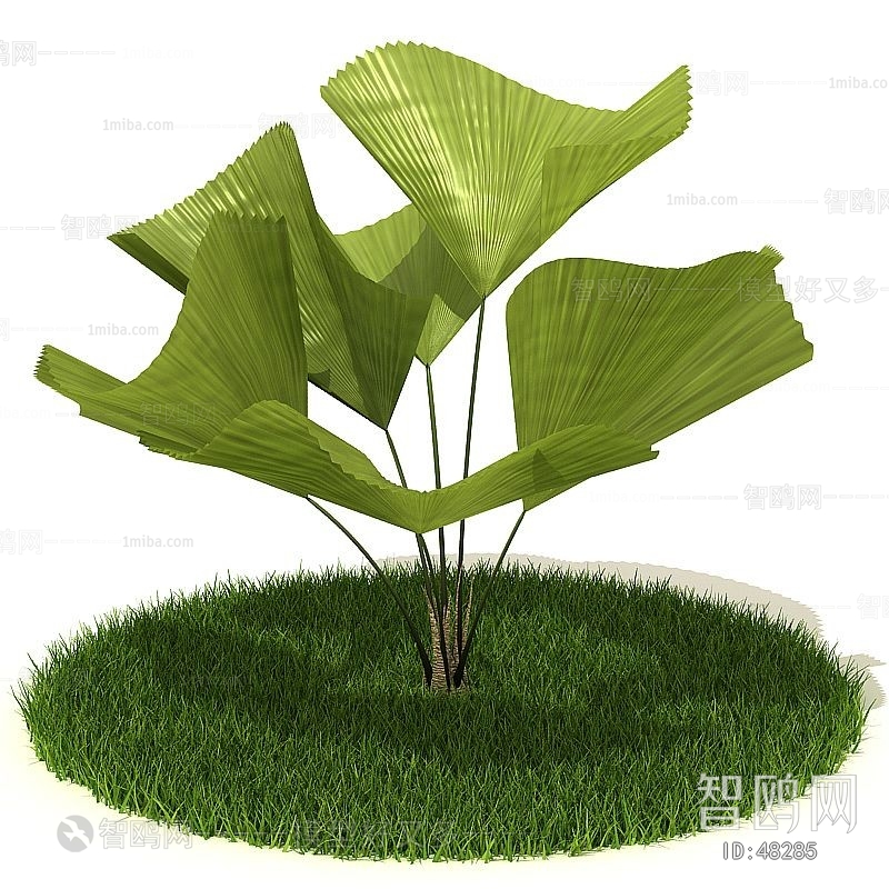 Modern Tree/shrub/grass