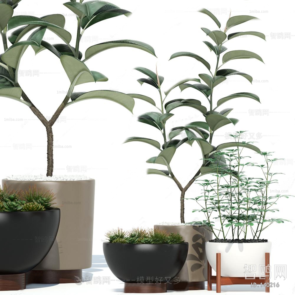 Modern Potted Green Plant