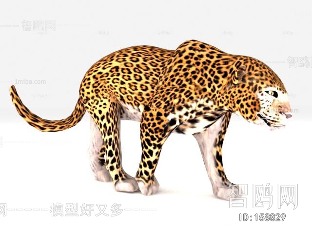 现代动物豹子