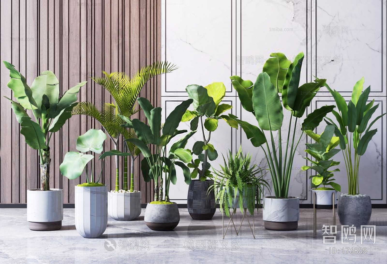 Modern Potted Green Plant