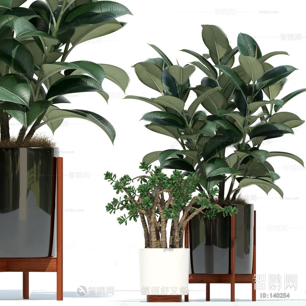 Modern Potted Green Plant