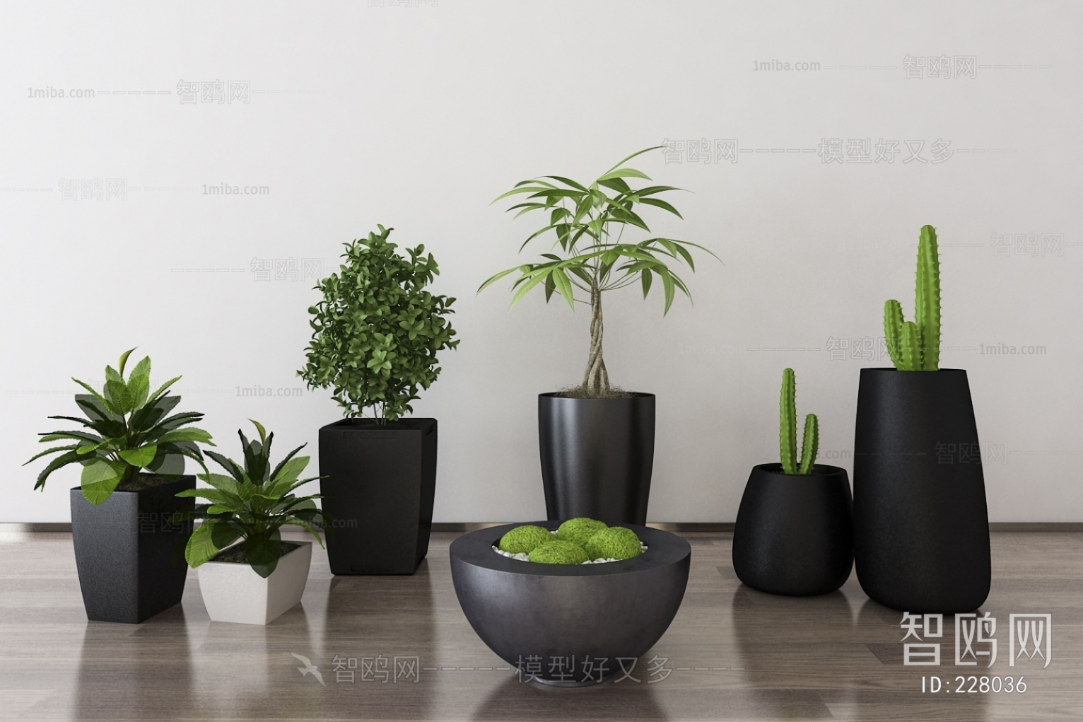 Modern Potted Green Plant