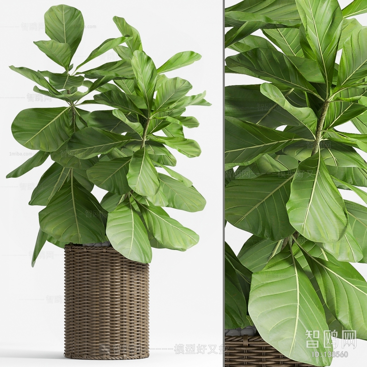 Modern Potted Green Plant