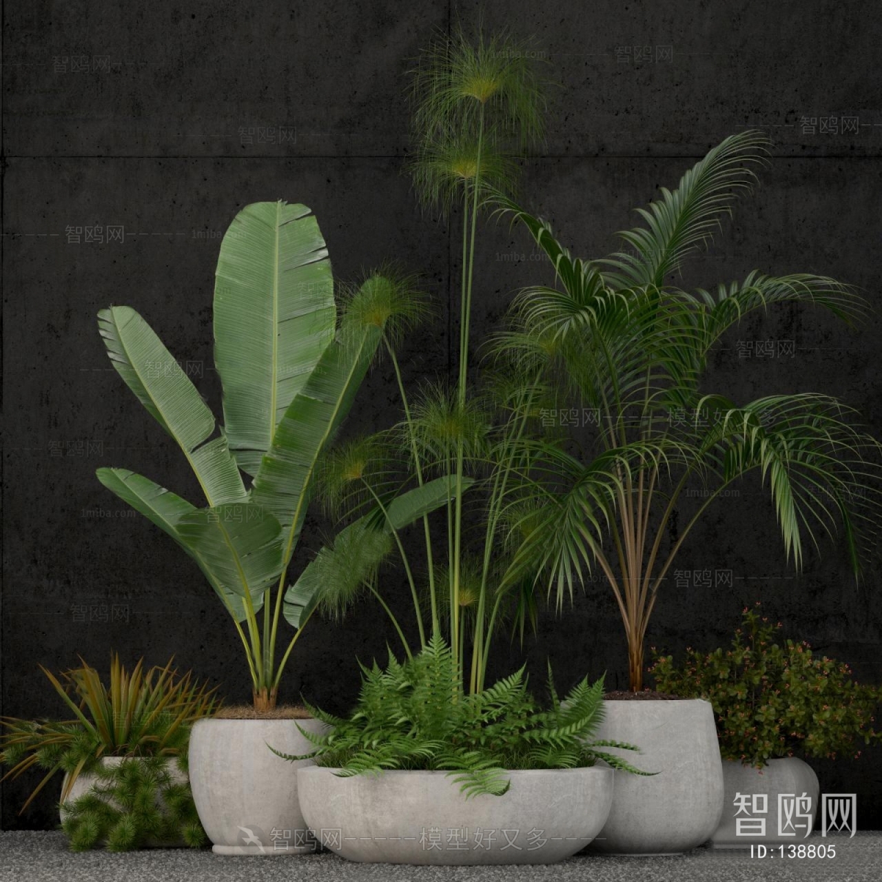 Modern Potted Green Plant