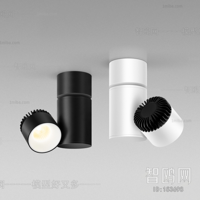 Modern Downlight Spot Light