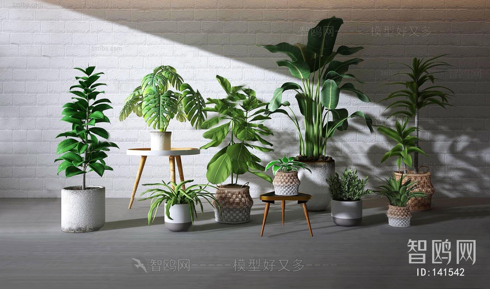 Modern Potted Green Plant