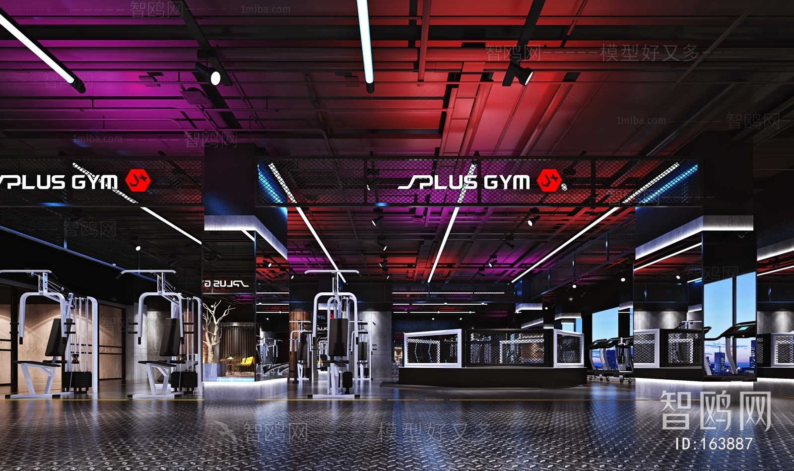 Industrial Style Gym