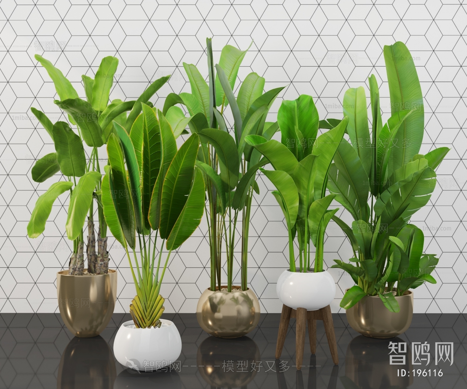 Modern Potted Green Plant