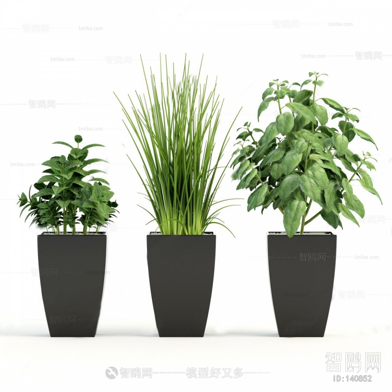 Modern Potted Green Plant