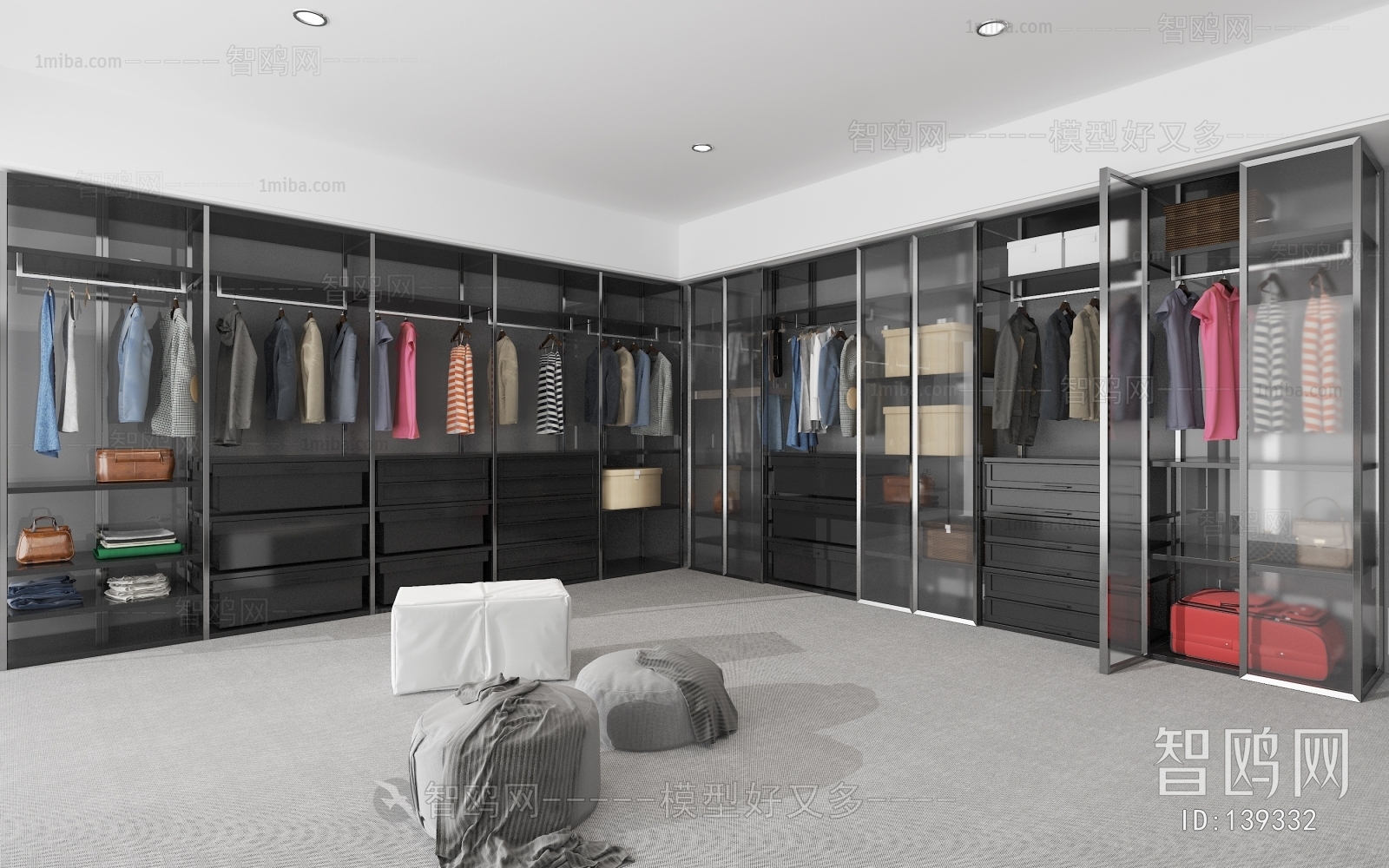 Modern Clothes Storage Area