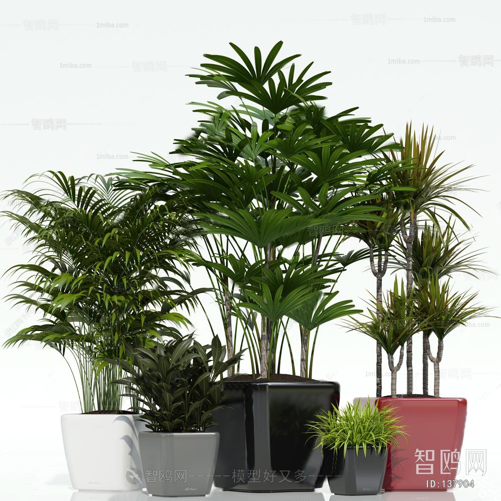 Modern Potted Green Plant