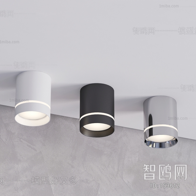 Modern Downlight Spot Light