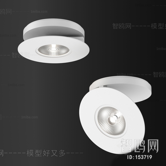 Modern Downlight Spot Light