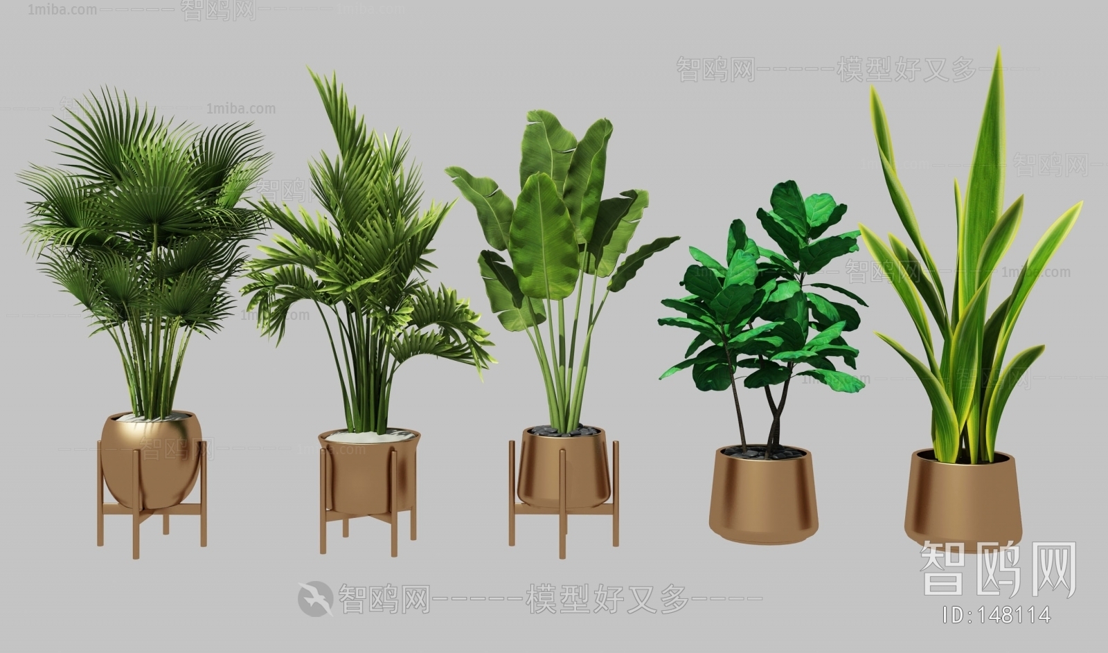 Modern Potted Green Plant