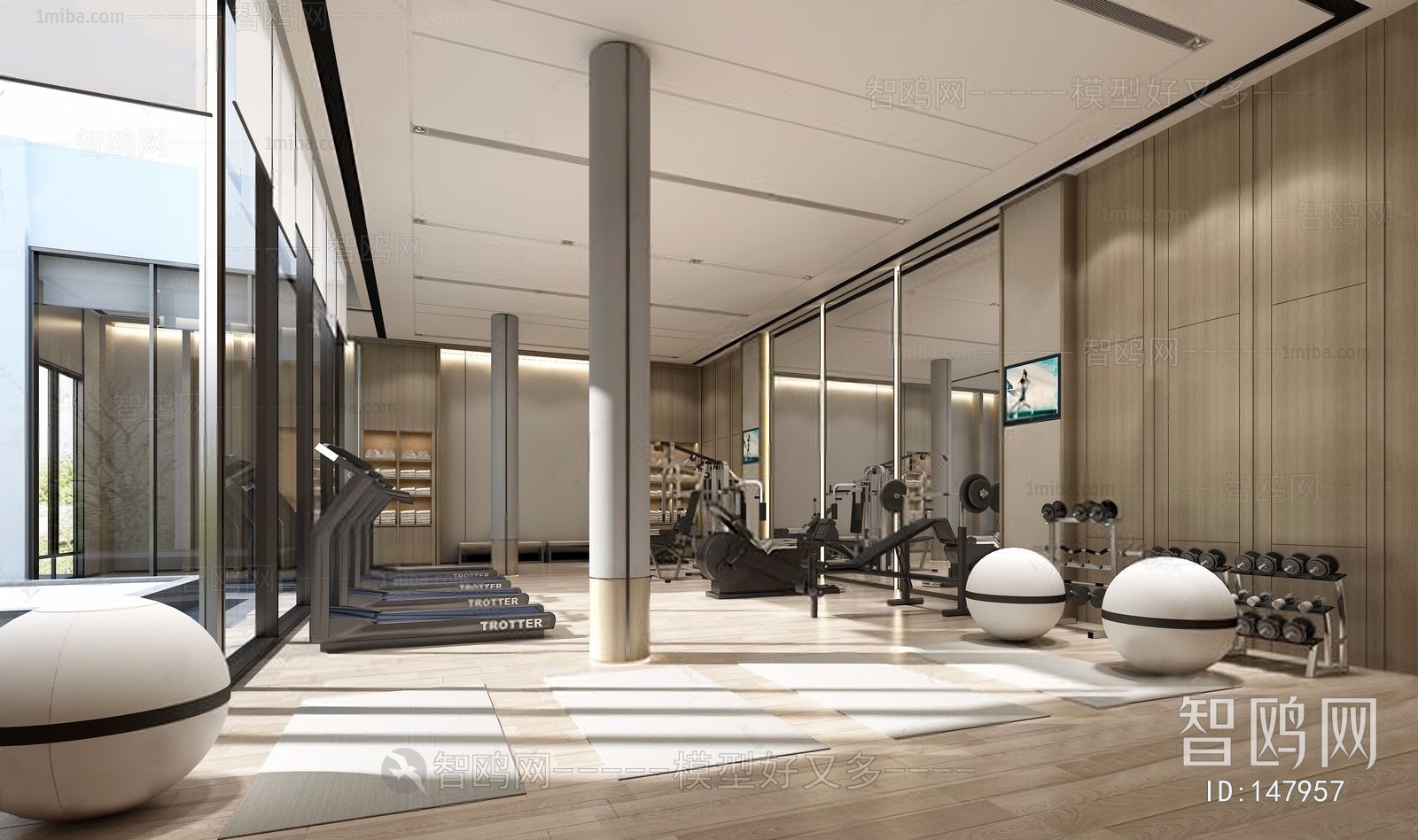 Modern Gym