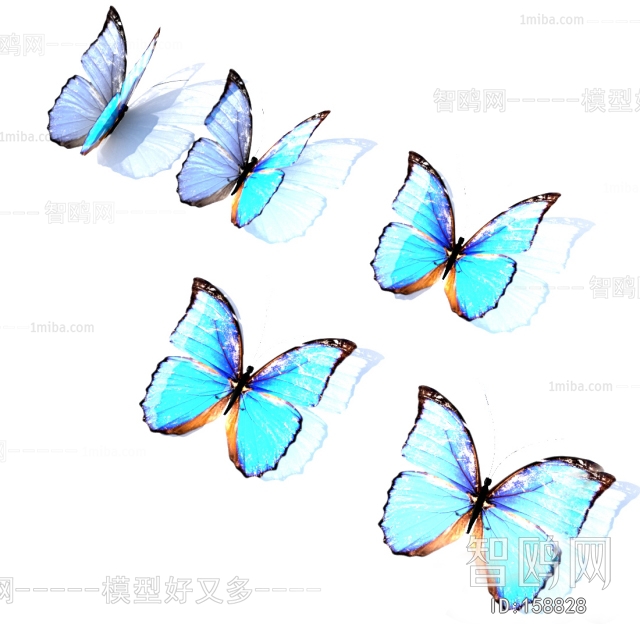 现代动物蝴蝶