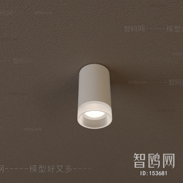 Modern Downlight Spot Light