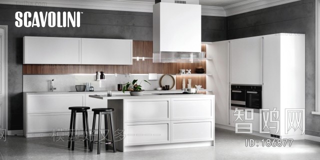 Modern Kitchen Cabinet