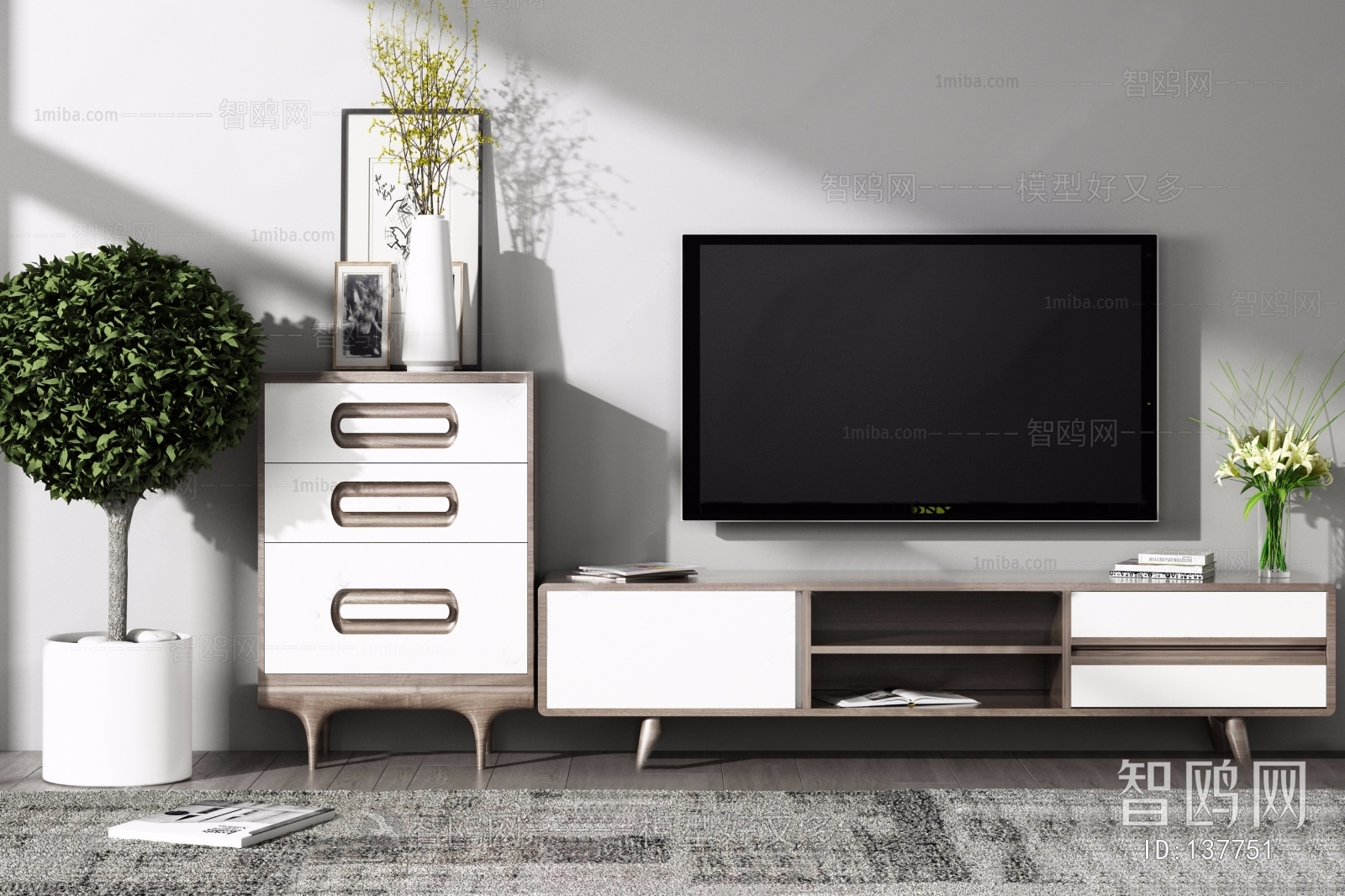 Nordic Style TV Cabinet