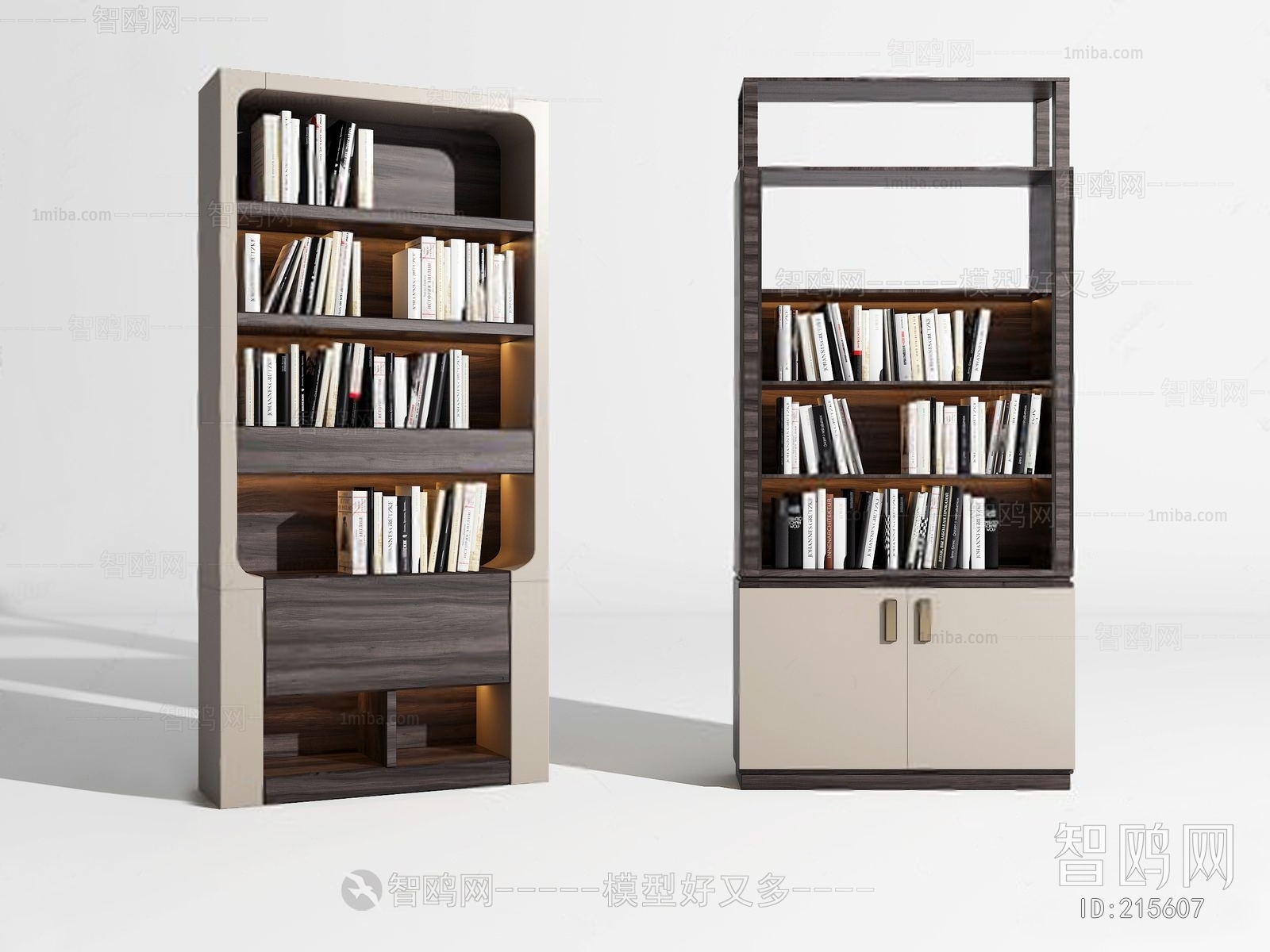 Modern Bookcase