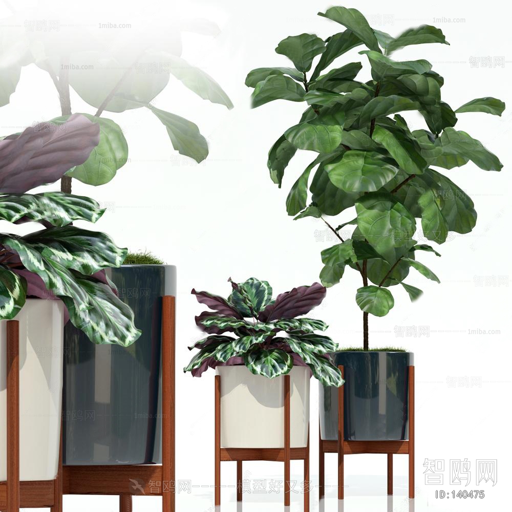 Modern Potted Green Plant