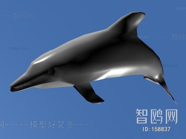 现代动物海豚