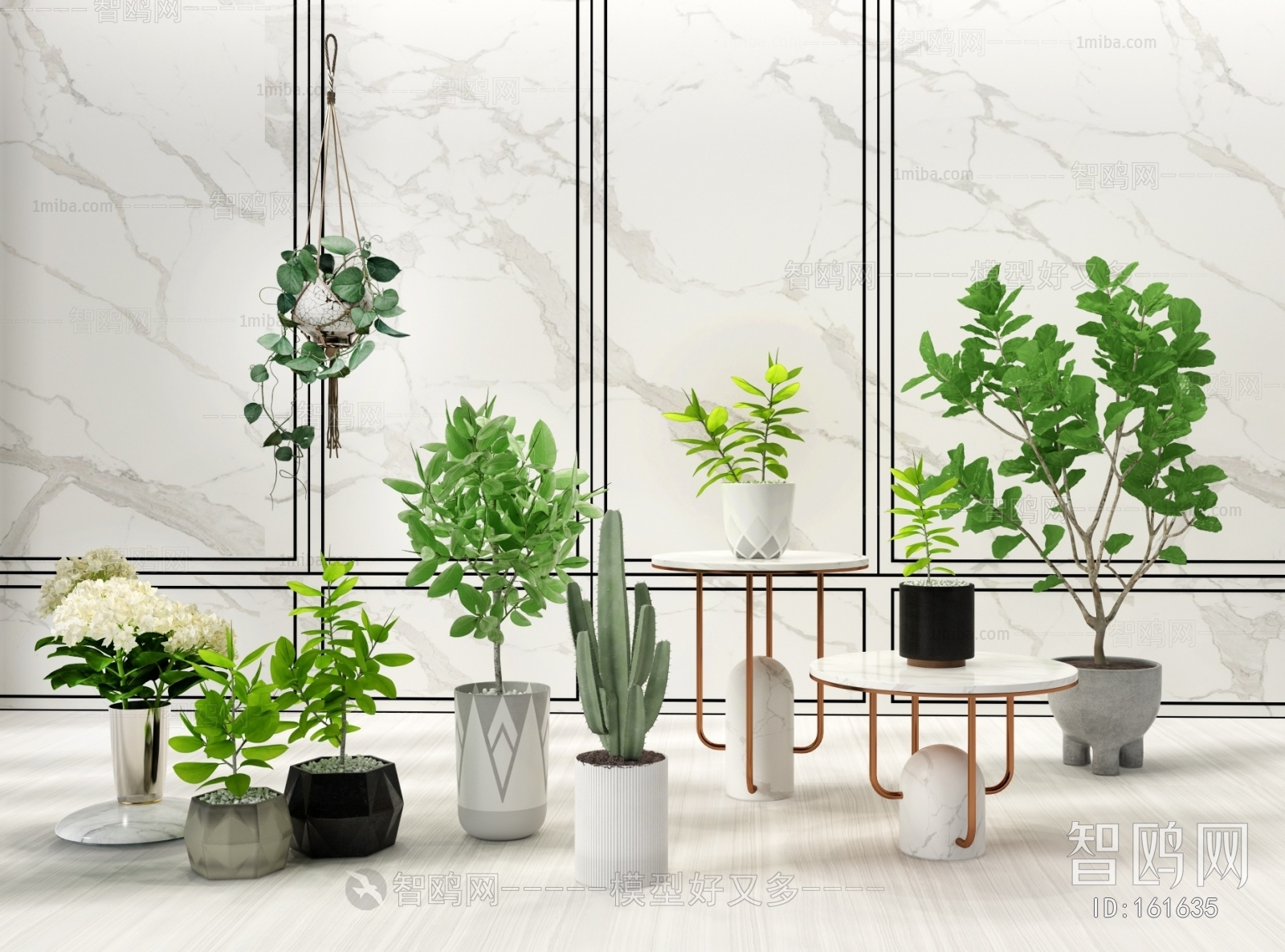 Modern Potted Green Plant