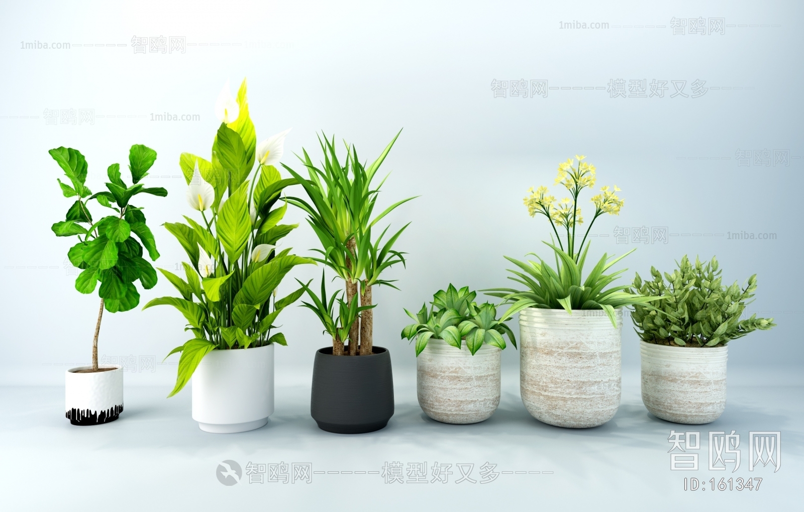 Modern Potted Green Plant