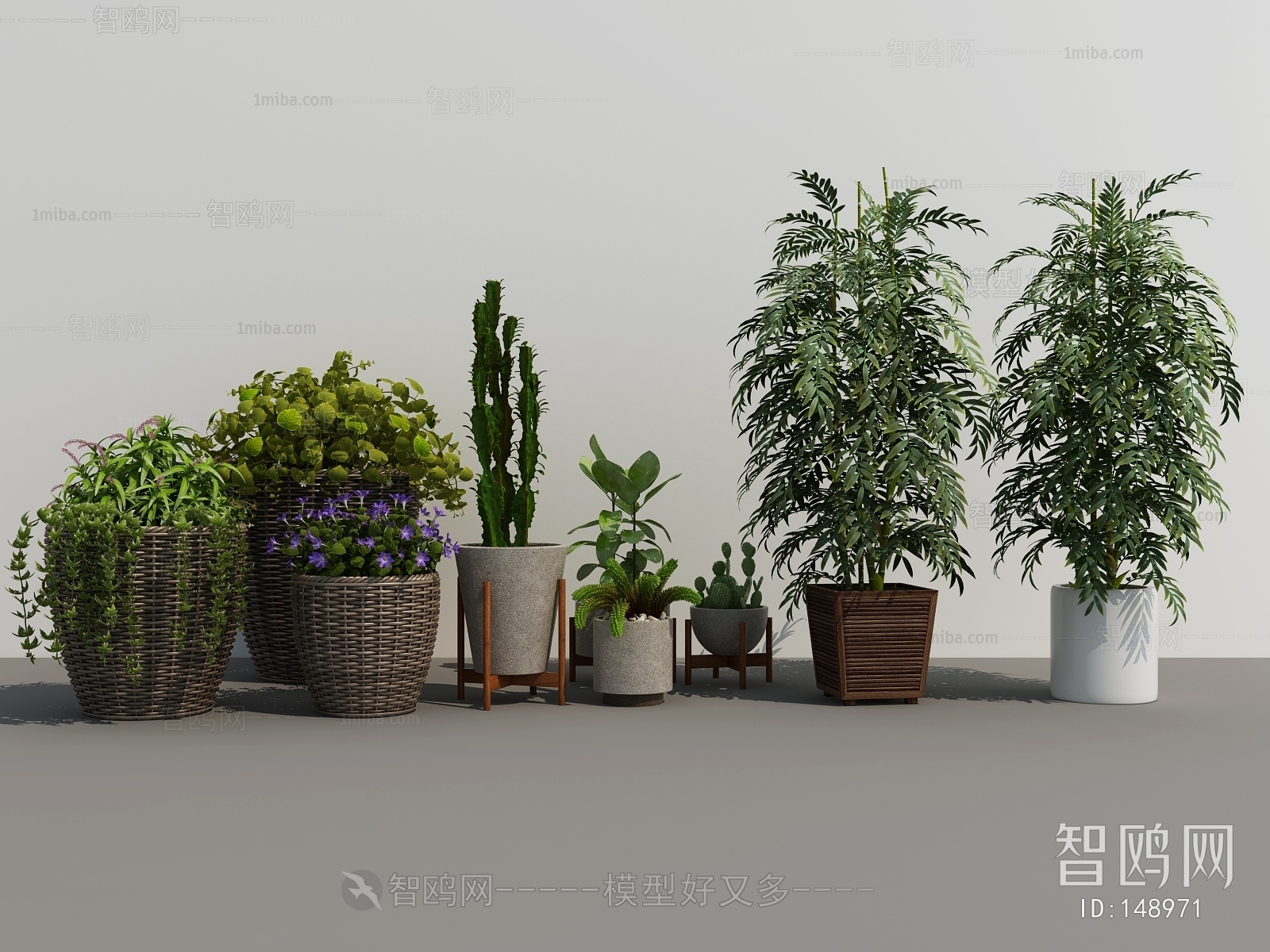 Modern Potted Green Plant