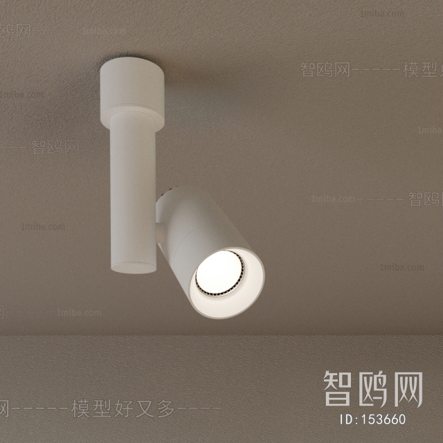 Modern Downlight Spot Light