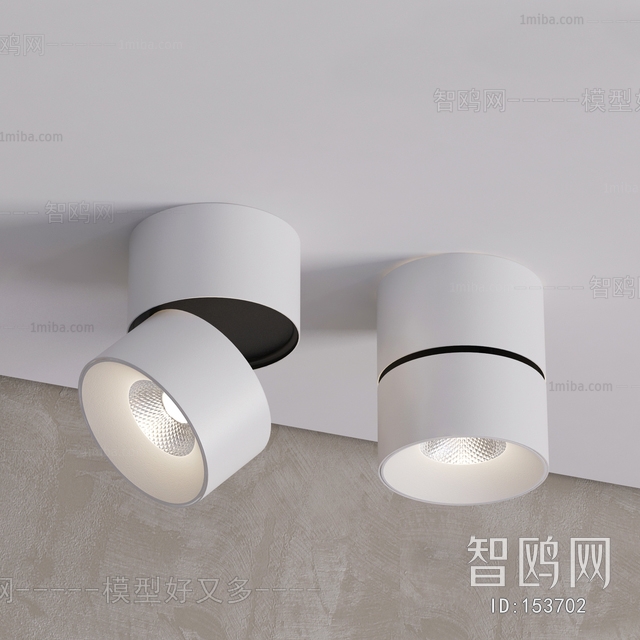 Modern Downlight Spot Light