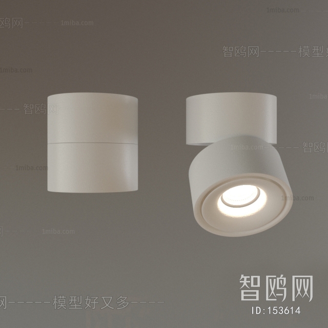 Modern Downlight Spot Light