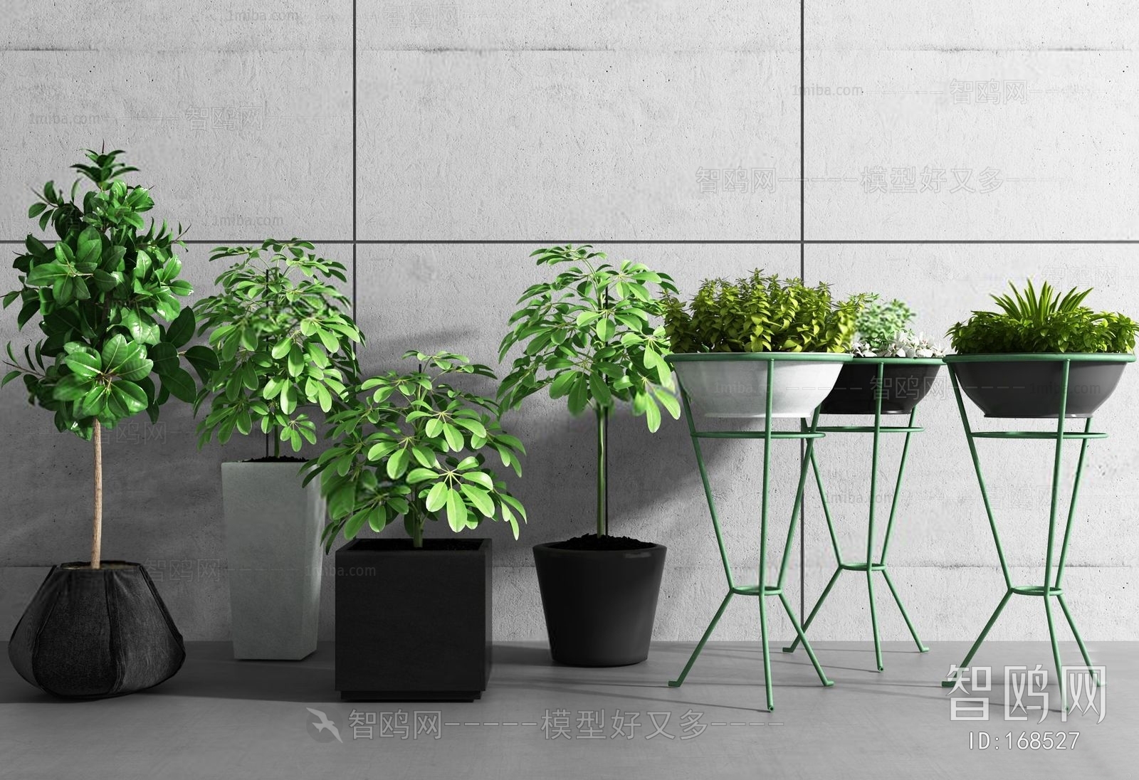 Modern Potted Green Plant