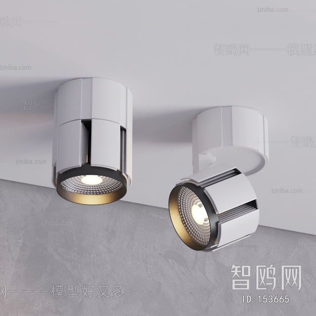 Modern Downlight Spot Light