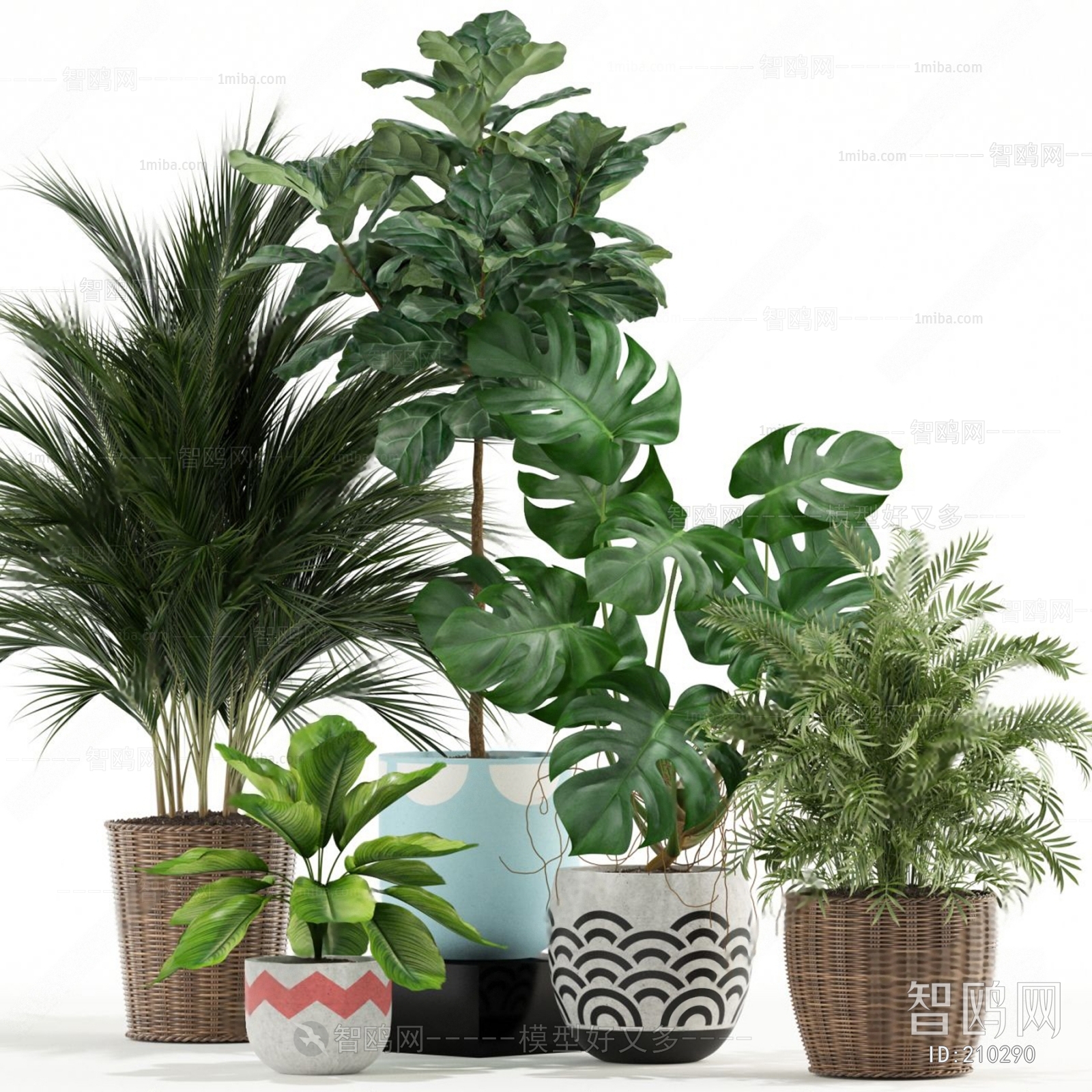 Modern Potted Green Plant