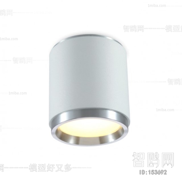 Modern Downlight Spot Light