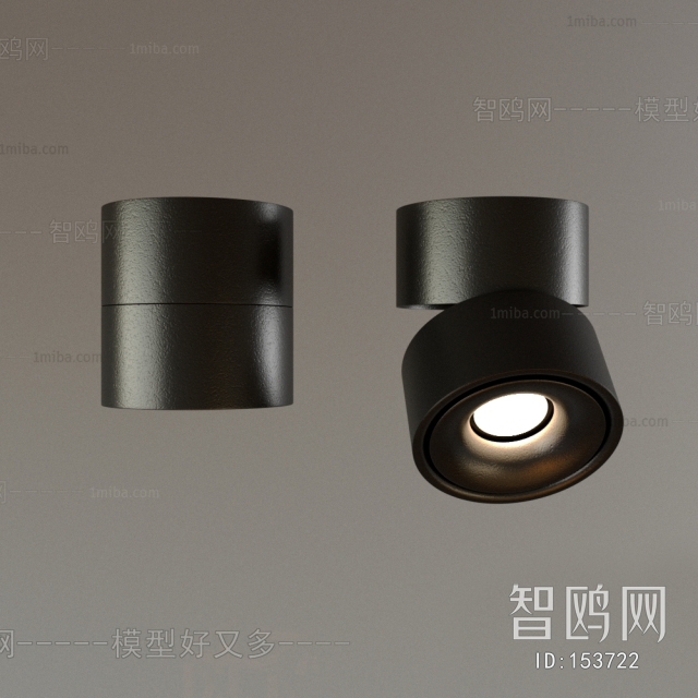 Modern Downlight Spot Light