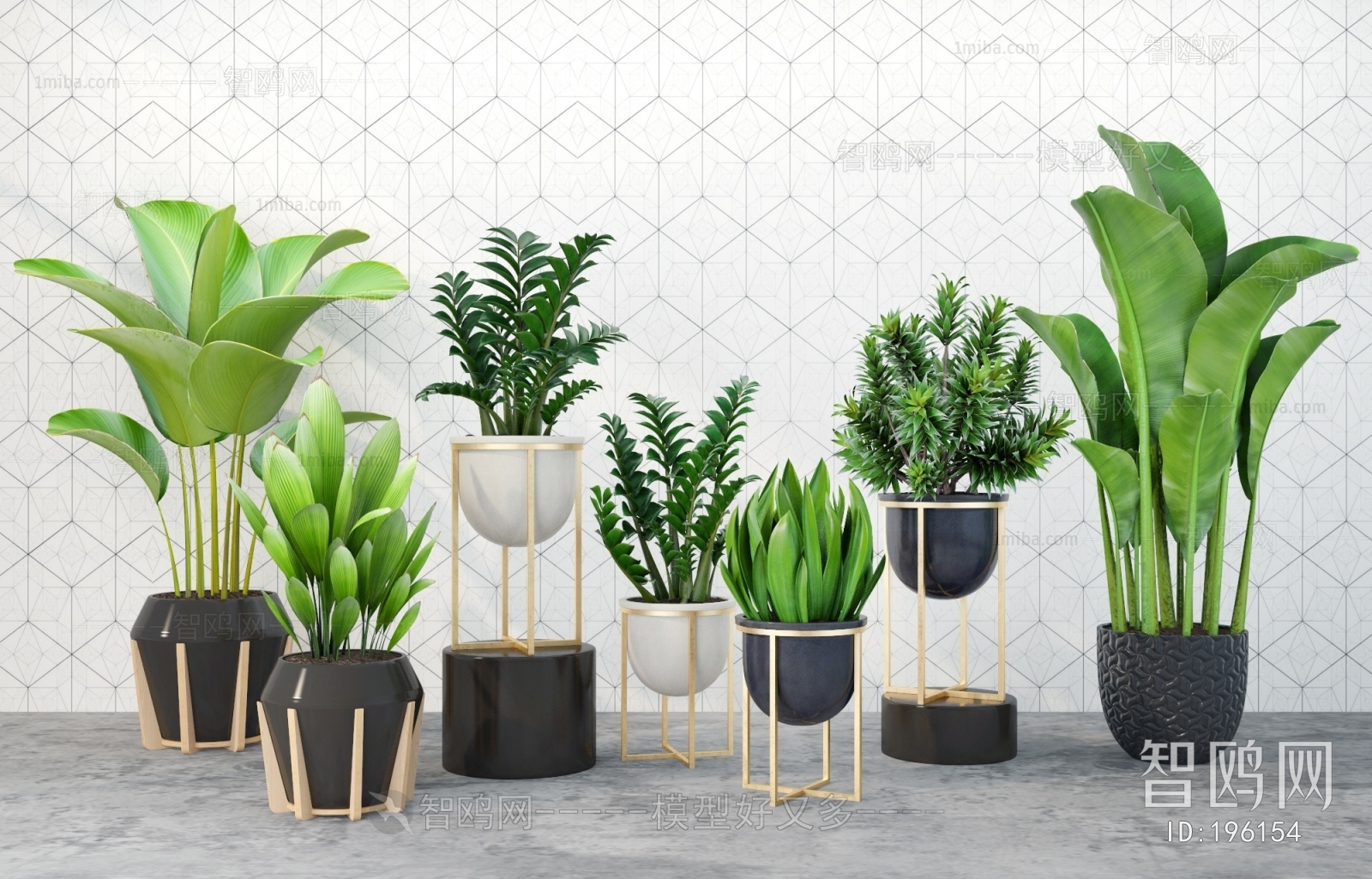 Modern Potted Green Plant