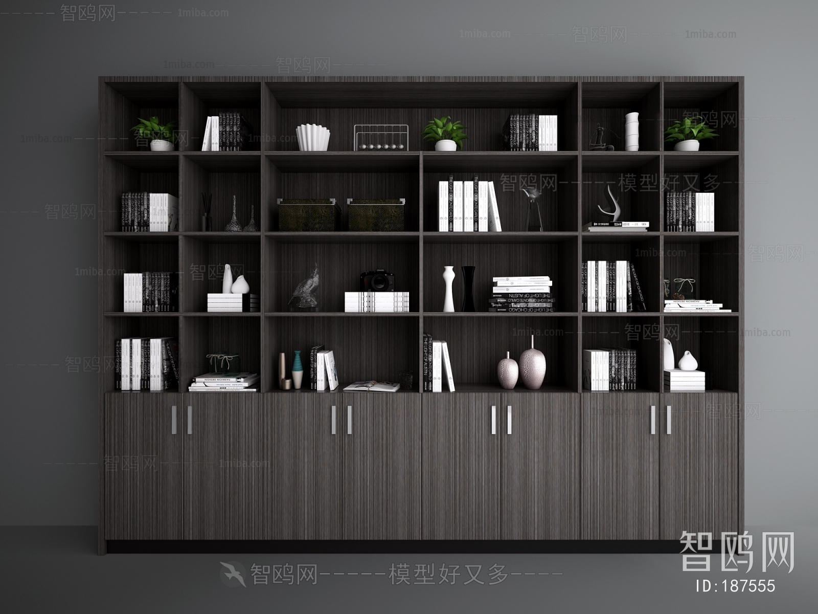 Modern Bookcase