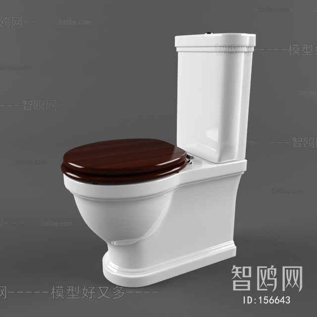 European Style Toilet