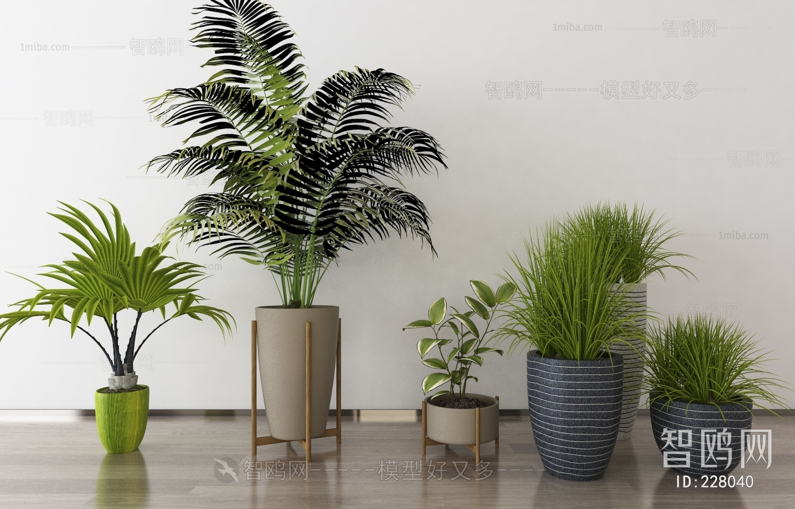 Modern Potted Green Plant