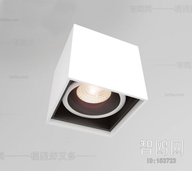 Modern Downlight Spot Light